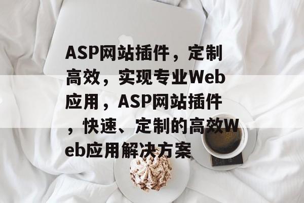 ASP网站插件，定制高效，实现专业Web应用，ASP网站插件，快速、定制的高效Web应用解决方案