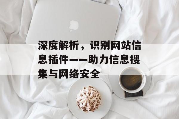 深度解析,识别网站信息插件——助力信息搜集与网络安全 深度解析,识别网站信息插件——助力信息搜集与网络安全