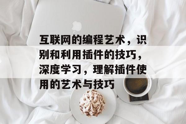 互联网的编程艺术，识别和利用插件的技巧，深度学习，理解插件使用的艺术与技巧