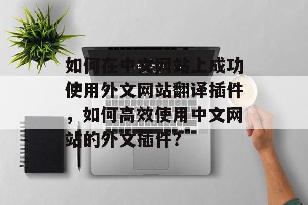 如何在中文网站上成功使用外文网站翻译插件，如何高效使用中文网站的外文插件？