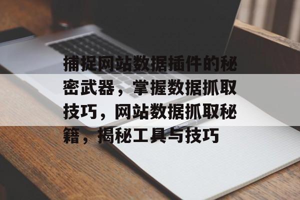 捕捉网站数据插件的秘密武器,掌握数据抓取技巧,网站数据抓取秘籍,揭秘工具与技巧 捕捉网站数据插件的秘密武器,掌握数据抓取技巧,网站数据抓取秘籍,揭秘工具与技巧