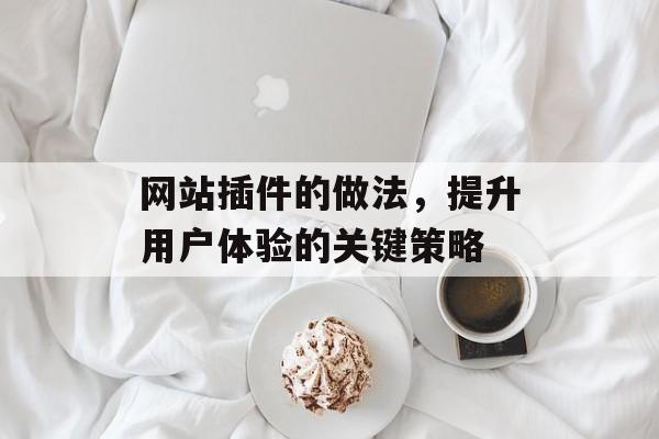 网站插件的做法，提升用户体验的关键策略