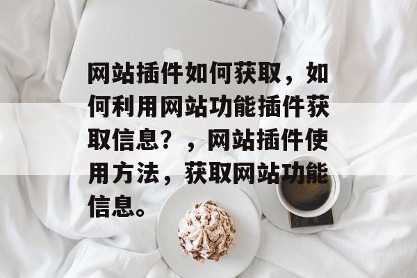网站插件如何获取,如何利用网站功能插件获取信息?,网站插件使用方法,获取网站功能信息。 网站插件如何获取,如何利用网站功能插件获取信息?,网站插件使用方法,获取网站功能信息。