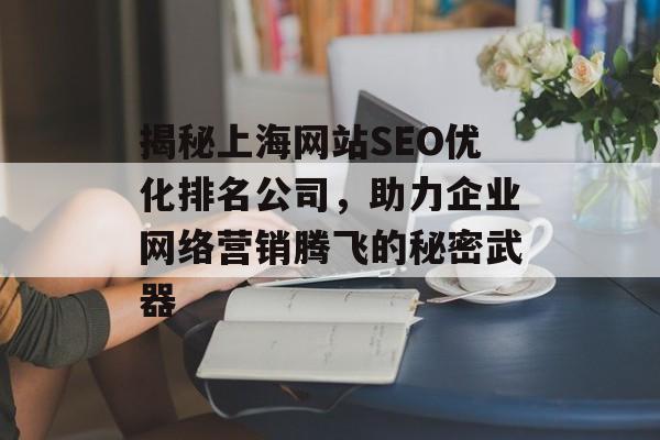 揭秘上海网站SEO优化排名公司，助力企业网络营销腾飞的秘密武器
