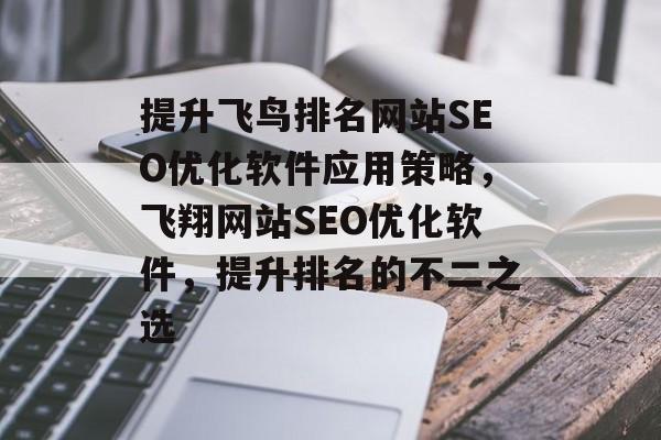 提升飞鸟排名网站SEO优化软件应用策略，飞翔网站SEO优化软件，提升排名的不二之选