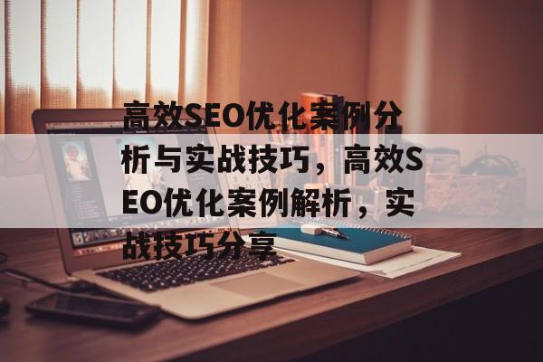 高效SEO优化案例分析与实战技巧,高效SEO优化案例解析,实战技巧分享 高效SEO优化案例分析与实战技巧,高效SEO优化案例解析,实战技巧分享