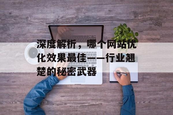 深度解析,哪个网站优化效果最佳——行业翘楚的秘密武器 深度解析,哪个网站优化效果最佳——行业翘楚的秘密武器