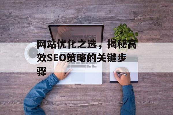 网站优化之选,揭秘高效SEO策略的关键步骤 网站优化之选,揭秘高效SEO策略的关键步骤