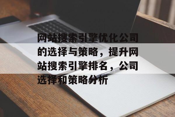 网站搜索引擎优化公司的选择与策略，提升网站搜索引擎排名，公司选择和策略分析