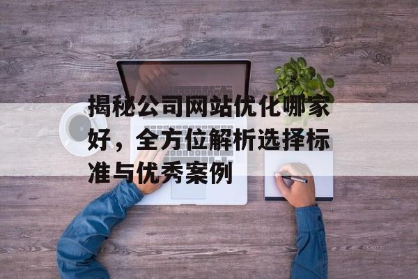 揭秘公司网站优化哪家好，全方位解析选择标准与优秀案例