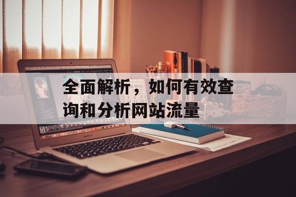 全面解析，如何有效查询和分析网站流量