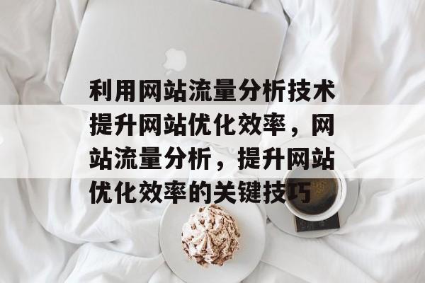 利用网站流量分析技术提升网站优化效率,网站流量分析,提升网站优化效率的关键技巧 利用网站流量分析技术提升网站优化效率,网站流量分析,提升网站优化效率的关键技巧
