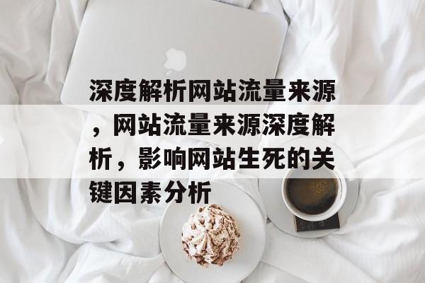深度解析网站流量来源，网站流量来源深度解析，影响网站生死的关键因素分析