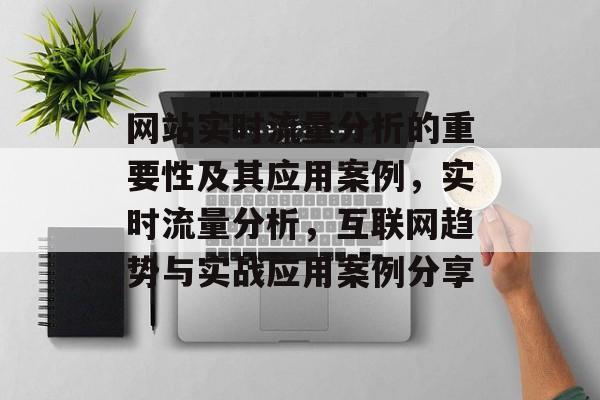 网站实时流量分析的重要性及其应用案例，实时流量分析，互联网趋势与实战应用案例分享