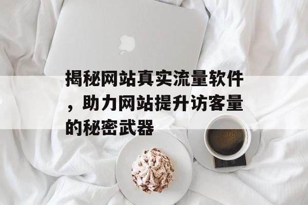 揭秘网站真实流量软件,助力网站提升访客量的秘密武器 揭秘网站真实流量软件,助力网站提升访客量的秘密武器
