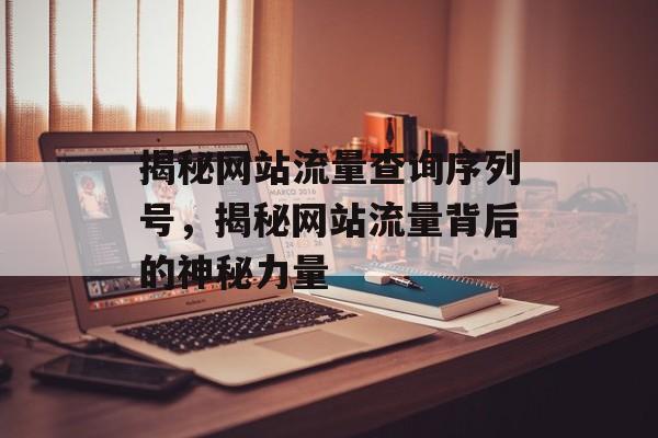 揭秘网站流量查询序列号，揭秘网站流量背后的神秘力量