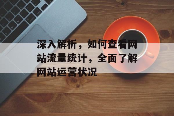 深入解析，如何查看网站流量统计，全面了解网站运营状况
