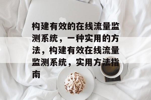 构建有效的在线流量监测系统，一种实用的方法，构建有效在线流量监测系统，实用方法指南