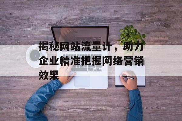 揭秘网站流量计，助力企业精准把握网络营销效果