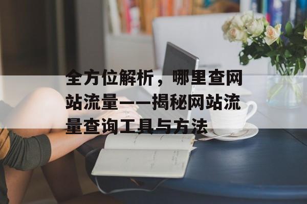 全方位解析,哪里查网站流量——揭秘网站流量查询工具与方法 全方位解析,哪里查网站流量——揭秘网站流量查询工具与方法