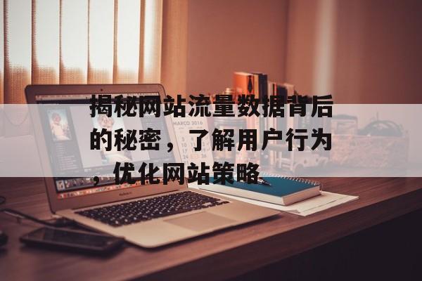 揭秘网站流量数据背后的秘密,了解用户行为,优化网站策略 揭秘网站流量数据背后的秘密,了解用户行为,优化网站策略