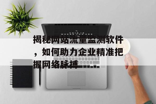 揭秘网站流量监测软件,如何助力企业精准把握网络脉搏 揭秘网站流量监测软件,如何助力企业精准把握网络脉搏