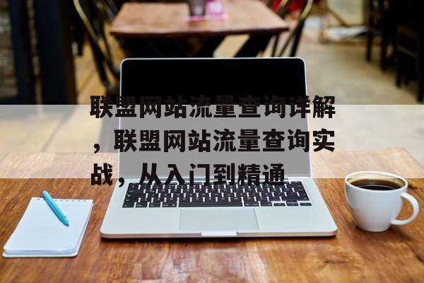 联盟网站流量查询详解,联盟网站流量查询实战,从入门到精通 联盟网站流量查询详解,联盟网站流量查询实战,从入门到精通