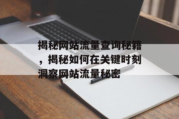 揭秘网站流量查询秘籍,揭秘如何在关键时刻洞察网站流量秘密 揭秘网站流量查询秘籍,揭秘如何在关键时刻洞察网站流量秘密