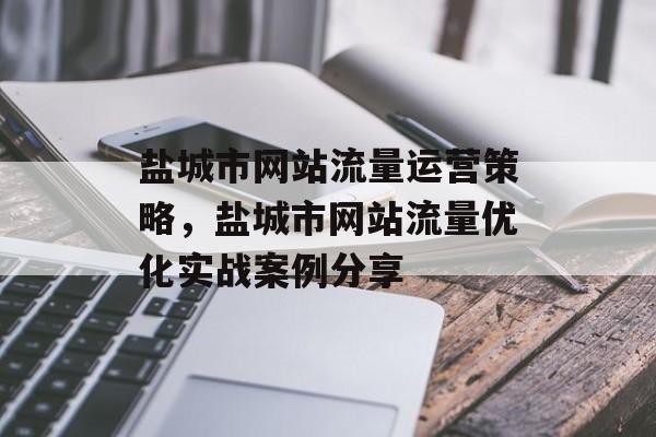 盐城市网站流量运营策略，盐城市网站流量优化实战案例分享