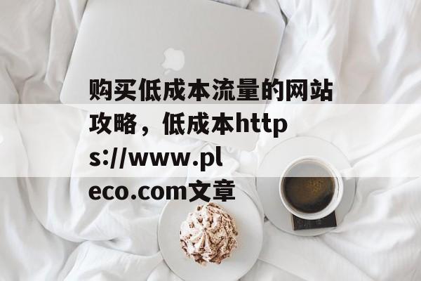 购买低成本流量的网站攻略，低成本https://www.pleco.com文章