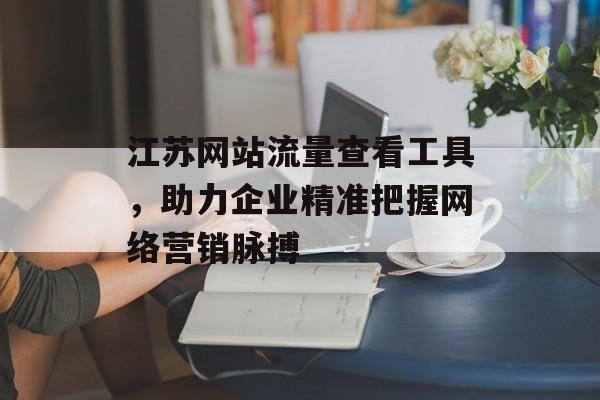 江苏网站流量查看工具，助力企业精准把握网络营销脉搏