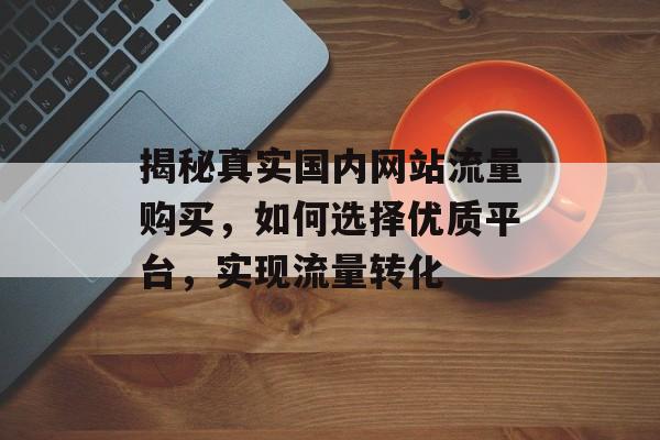揭秘真实国内网站流量购买,如何选择优质平台,实现流量转化 揭秘真实国内网站流量购买,如何选择优质平台,实现流量转化