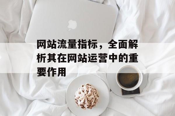 网站流量指标,全面解析其在网站运营中的重要作用 网站流量指标,全面解析其在网站运营中的重要作用