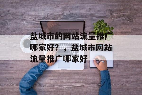 盐城市的网站流量推广哪家好？，盐城市网站流量推广哪家好
