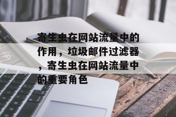 寄生虫在网站流量中的作用，垃圾邮件过滤器，寄生虫在网站流量中的重要角色
