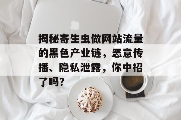 揭秘寄生虫做网站流量的黑色产业链，恶意传播、隐私泄露，你中招了吗？