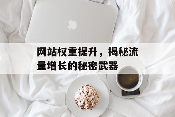 网站权重提升，揭秘流量增长的秘密武器