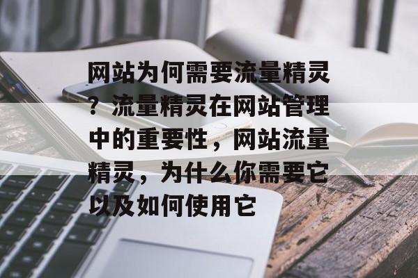网站为何需要流量精灵？流量精灵在网站管理中的重要性，网站流量精灵，为什么你需要它以及如何使用它