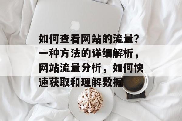 如何查看网站的流量?一种方法的详细解析,网站流量分析,如何快速获取和理解数据 如何查看网站的流量?一种方法的详细解析,网站流量分析,如何快速获取和理解数据