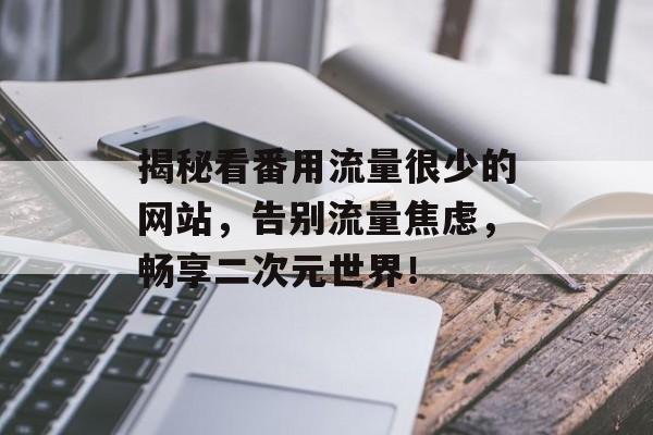 揭秘看番用流量很少的网站，告别流量焦虑，畅享二次元世界！