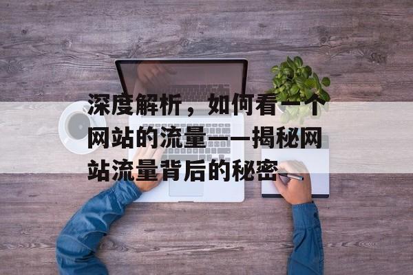 深度解析，如何看一个网站的流量——揭秘网站流量背后的秘密