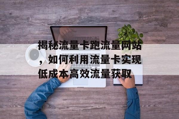 揭秘流量卡跑流量网站，如何利用流量卡实现低成本高效流量获取