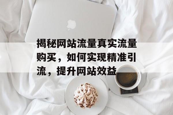 揭秘网站流量真实流量购买,如何实现精准引流,提升网站效益 揭秘网站流量真实流量购买,如何实现精准引流,提升网站效益