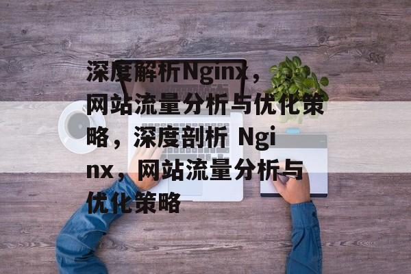 深度解析Nginx，网站流量分析与优化策略，深度剖析 Nginx，网站流量分析与优化策略