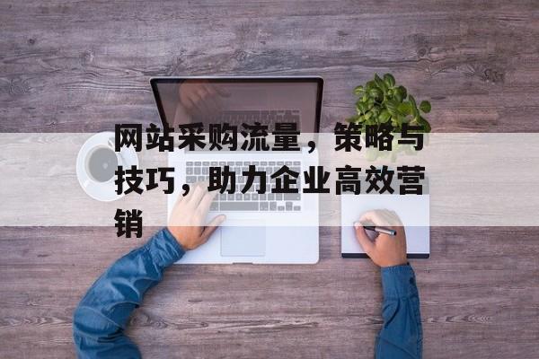 网站采购流量,策略与技巧,助力企业高效营销 网站采购流量,策略与技巧,助力企业高效营销
