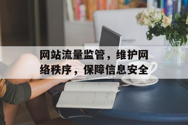 网站流量监管，维护网络秩序，保障信息安全
