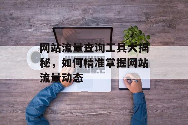 网站流量查询工具大揭秘，如何精准掌握网站流量动态
