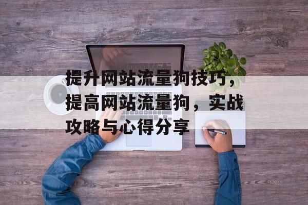 提升网站流量狗技巧，提高网站流量狗，实战攻略与心得分享