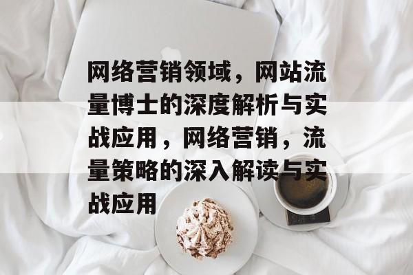 网络营销领域，网站流量博士的深度解析与实战应用，网络营销，流量策略的深入解读与实战应用