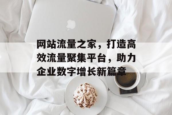 网站流量之家,打造高效流量聚集平台,助力企业数字增长新篇章 网站流量之家,打造高效流量聚集平台,助力企业数字增长新篇章